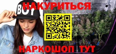 крисы Ярославль
