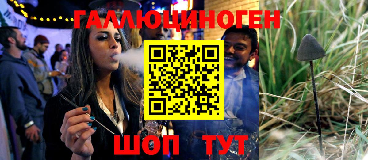 Галлюциногенные грибы Psilocybine cubensis  Псилоцибиновые грибы GOLDEN TEACHER  Вход с VPN  Ипатово 