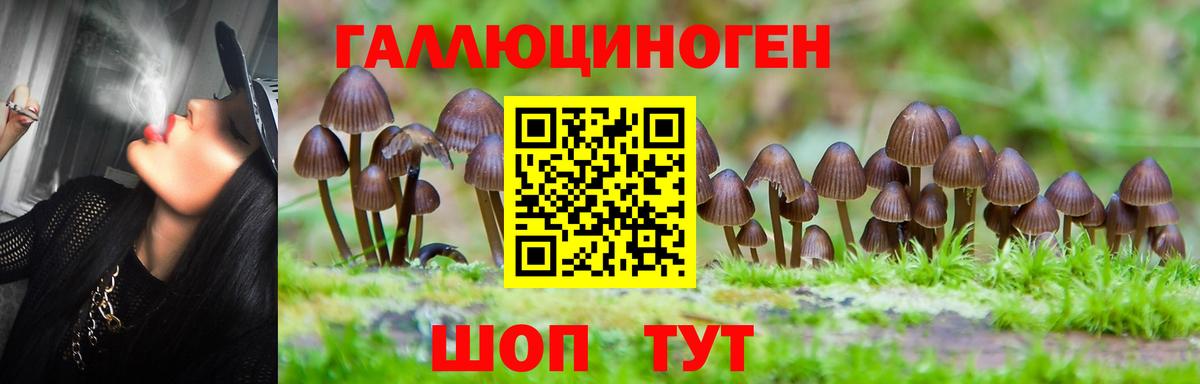 Галлюциногенные грибы Cubensis Ипатово